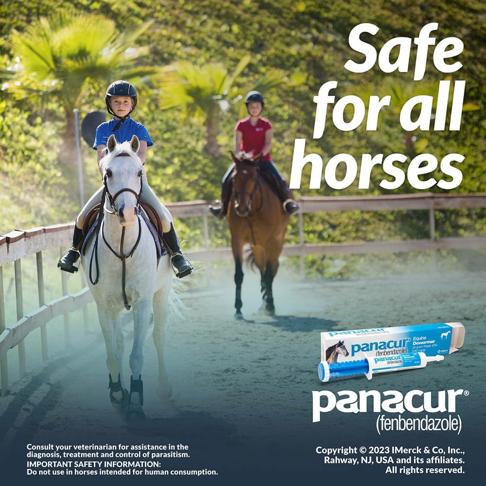 3 Pack Dewormer Horse Paste 10%, 100Mg Each