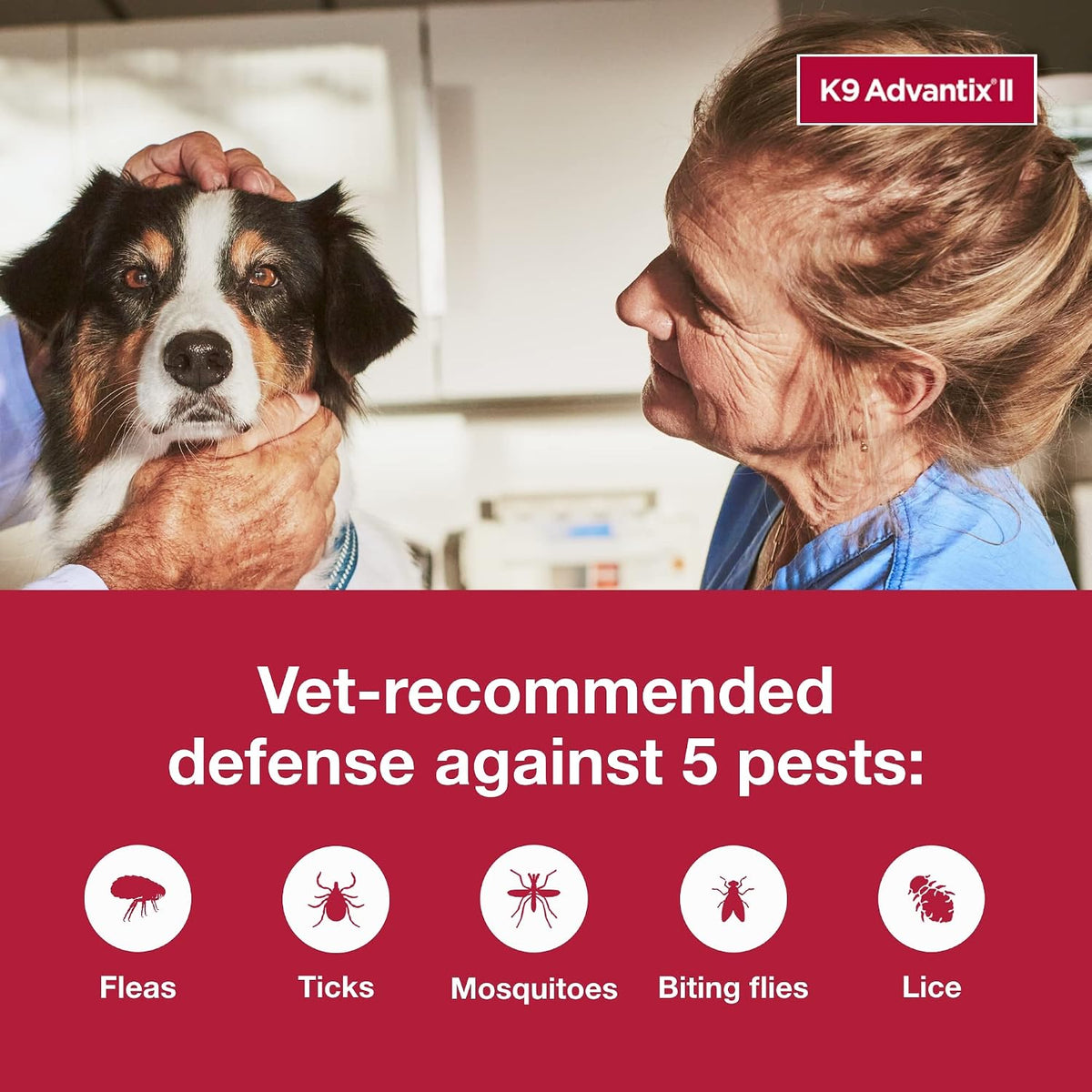 Advantix II Monthly Flea & Tick Prevention for Large Dogs (21–55 lbs), 6 Doses ( PACK OF 2 )