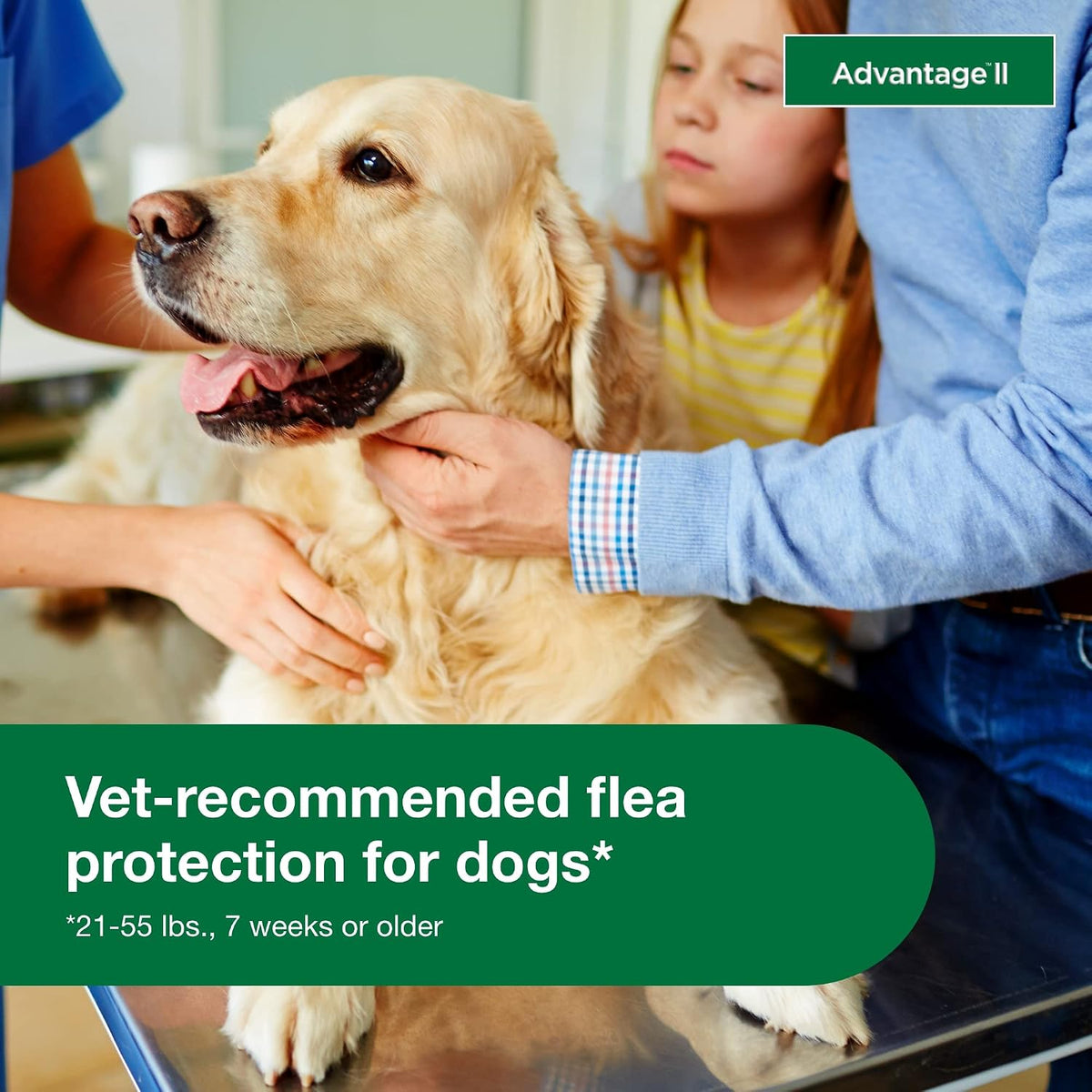 Advantage II Large Dog Topical Flea Treatment & Prevention, 4ct ( PACK OF 2 )