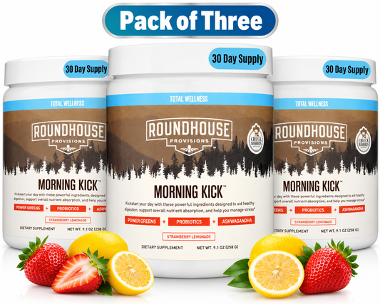 (3 Pack) Roundhouse Provisions Morning Kick DigestiveSupport Powder Lemonade Flavor