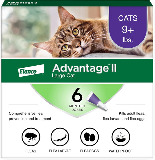 Elanco Advantage II Large Cat Over 9 lbs - 6 Monthly Doses - New in Box! (Pack of Two )