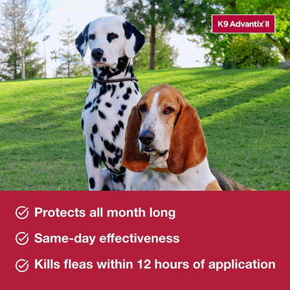 Advantix II Monthly Flea & Tick Prevention for Large Dogs (21–55 lbs), 6 Doses ( PACK OF 2 )