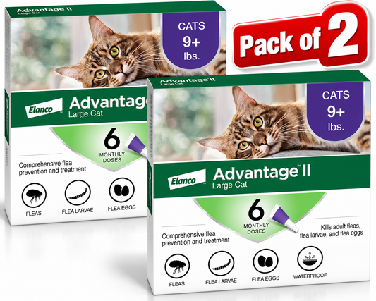 Elanco Advantage II Large Cat Over 9 lbs - 6 Monthly Doses - New in Box! (Pack of Two )