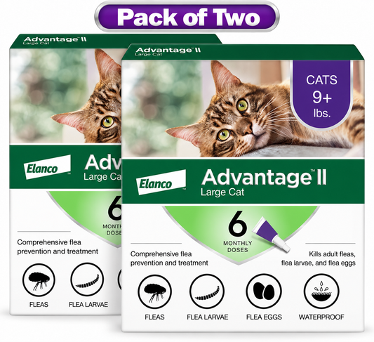 Elanco Advantage II Large Cat Over 9 lbs - 6 Monthly Doses - New in Box! (Pack of Two )